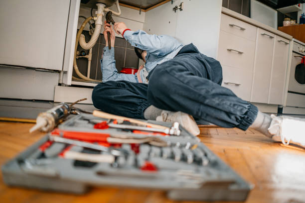 Best Toilet Repair Services  in Toledo, IA