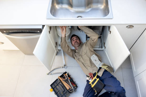 Best Toilet Repair Services  in Toledo, IA