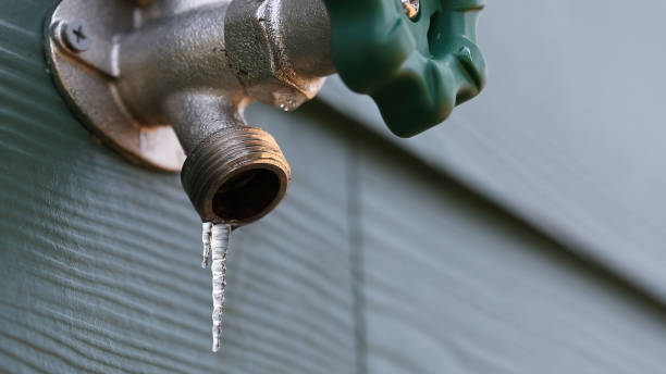 Best Same-Day Plumbing Service  in Toledo, IA